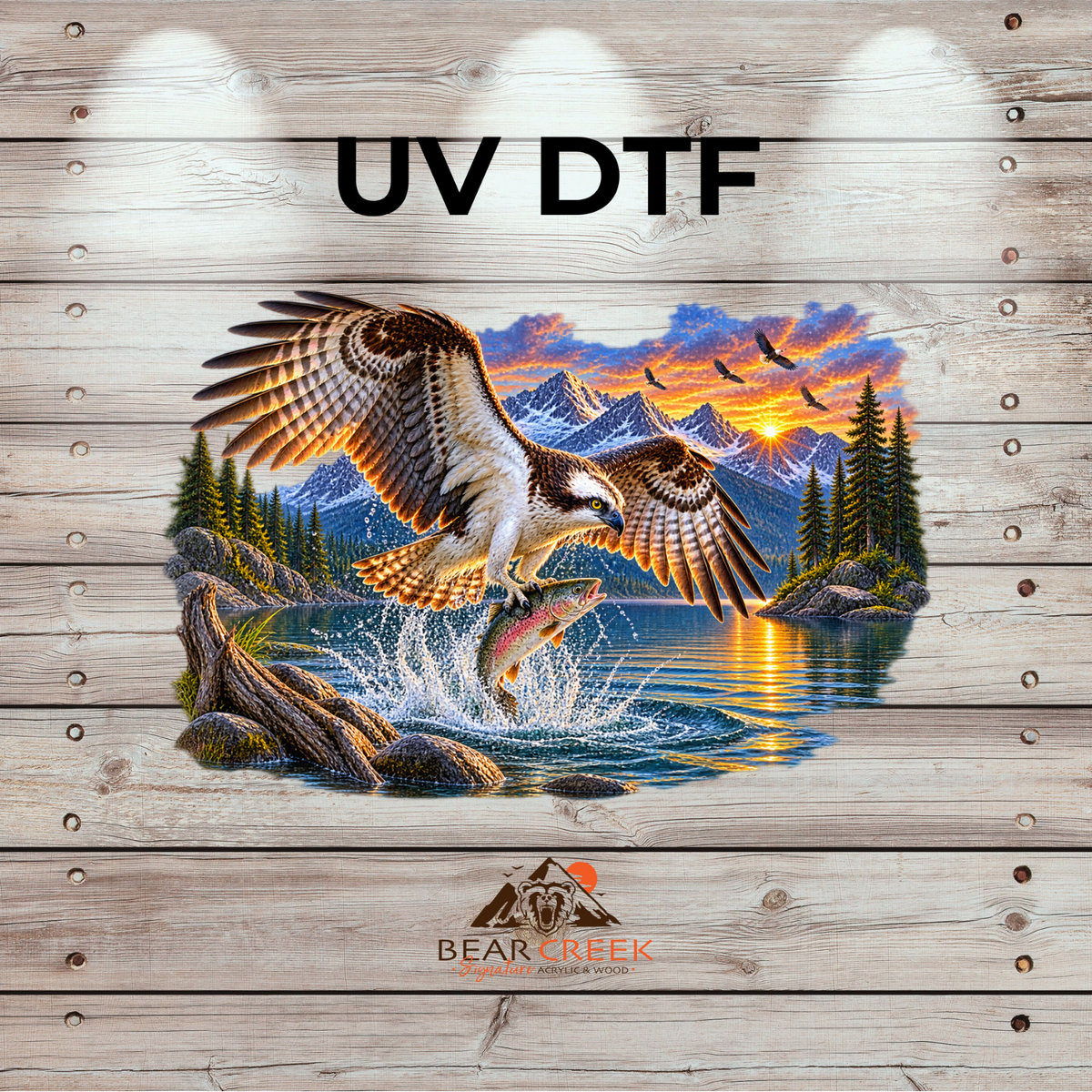 September 25th - Live Sale - 5" UVDTF #24
