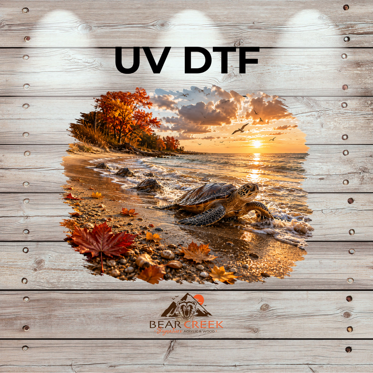September 25th - Live Sale - 5" UVDTF #80