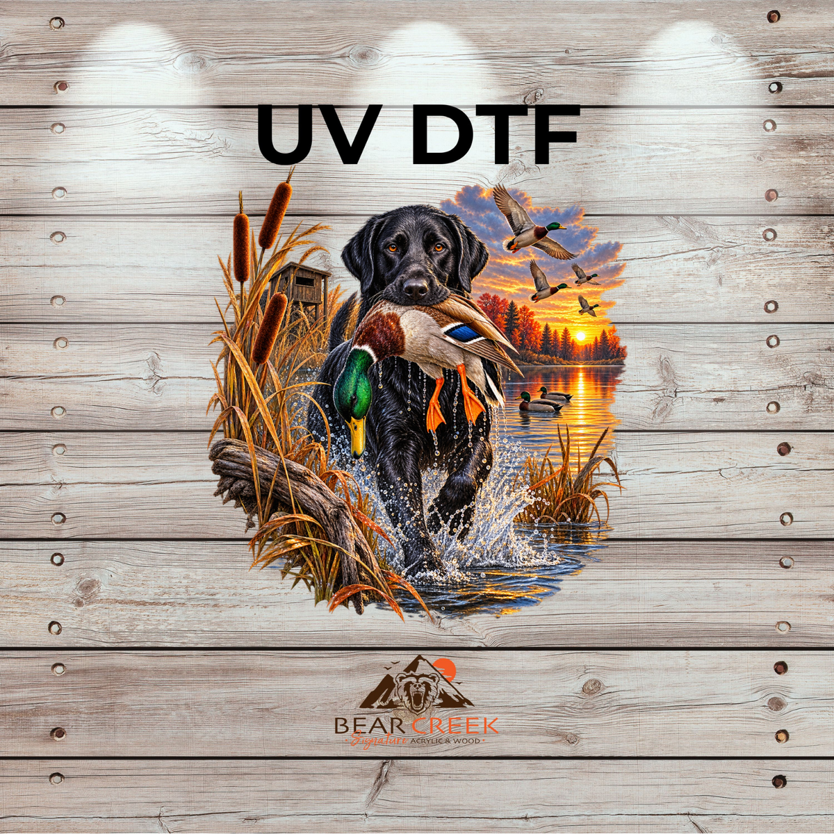September 25th - Live Sale - 5" UVDTF #88
