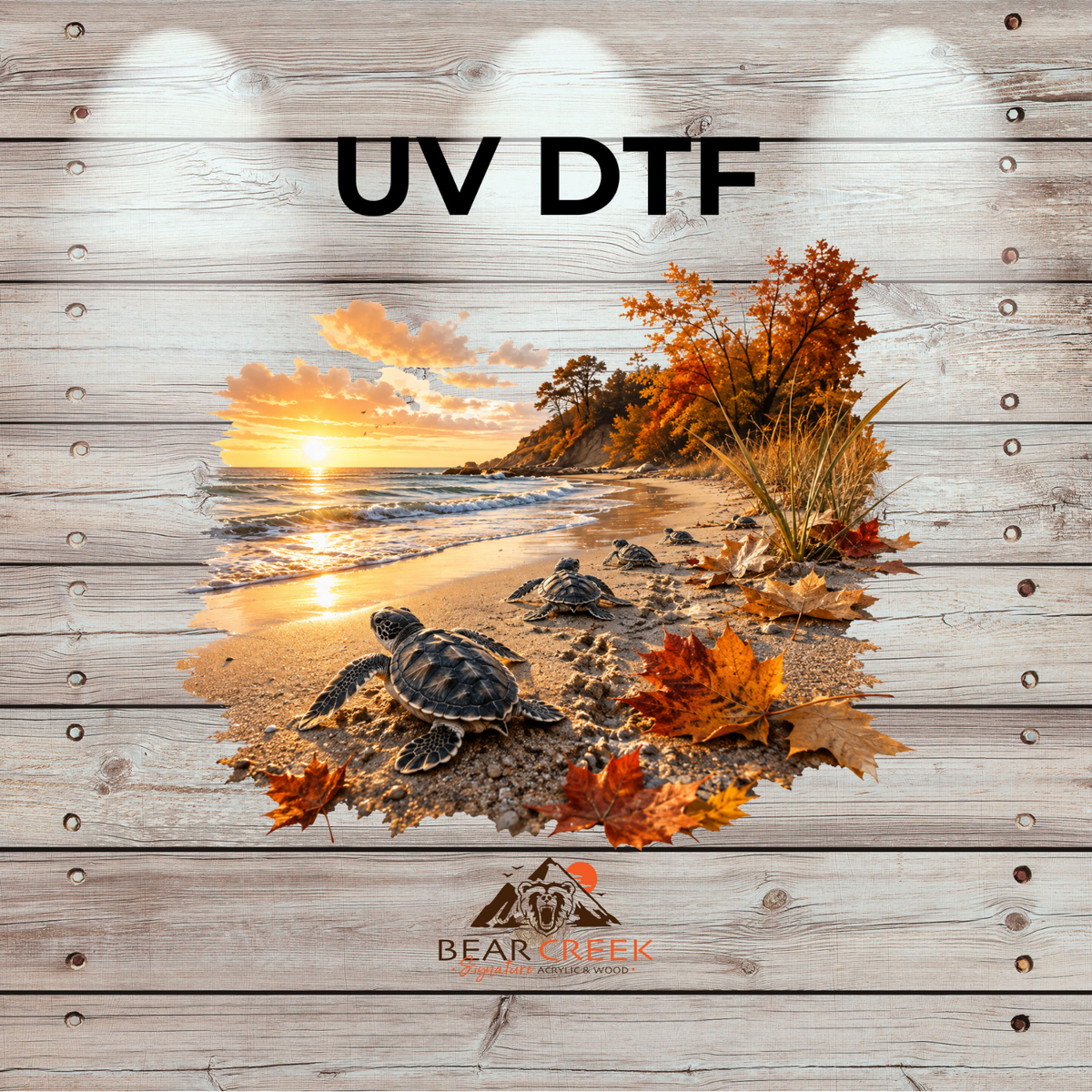 September 25th - Live Sale - 5" UVDTF #90