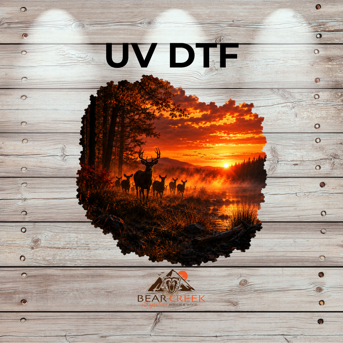 September 25th - Live Sale - 5" UVDTF #67